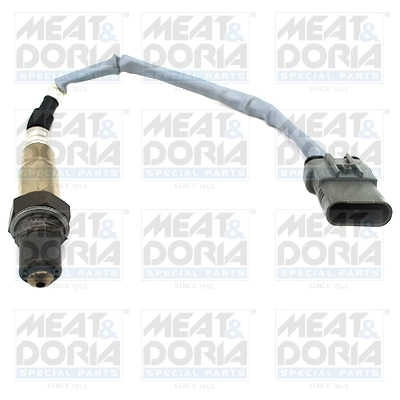 Oxygen Sensor